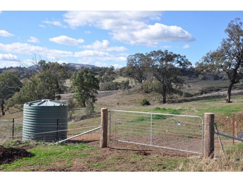 . Waverley Rd, Gundy via, Scone NSW 2337