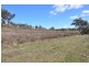 . Waverley Rd, Gundy via, Scone NSW 2337