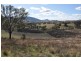 . Waverley Rd, Gundy via, Scone NSW 2337