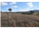 . Waverley Rd, Gundy via, Scone NSW 2337