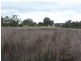 Lot 101 Golden Hwy, “Golf Course”, Merriwa NSW 2329