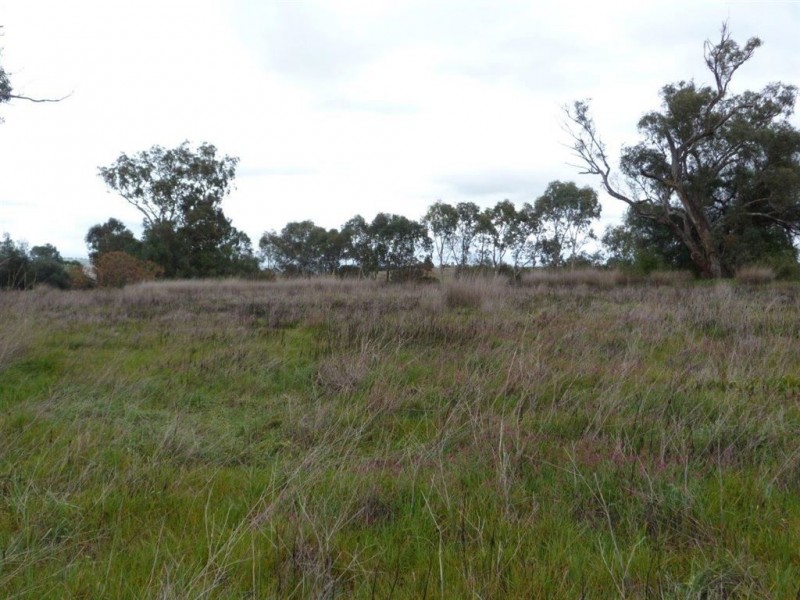 Lot 101 Golden Hwy, “Golf Course”, Merriwa NSW 2329