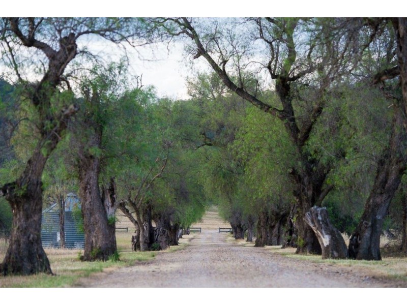 2729 Bundella Rd, “Little Kickerbell”, Quirindi NSW 2343