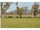 Lot 402 Nandowra Rd, “Applegum”, Scone NSW 2337