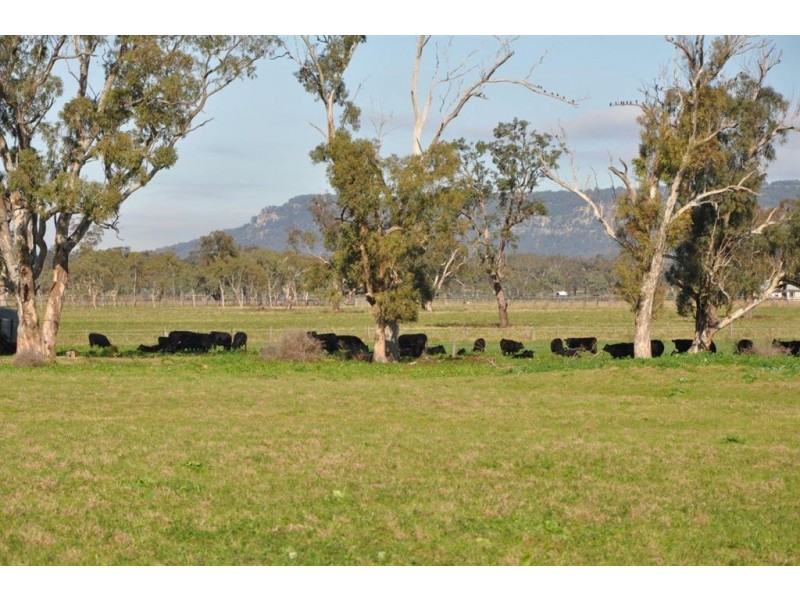 Lot 402 Nandowra Rd, “Applegum”, Scone NSW 2337