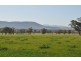 Lot 402 Nandowra Rd, “Applegum”, Scone NSW 2337