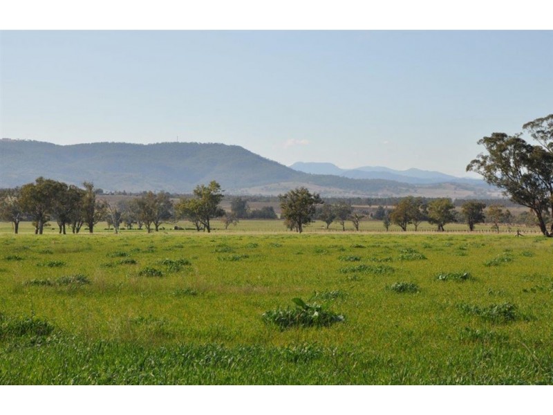 Lot 402 Nandowra Rd, “Applegum”, Scone NSW 2337