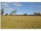 Lot 402 Nandowra Rd, “Applegum”, Scone NSW 2337
