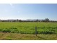 Lot 402 Nandowra Rd, “Applegum”, Scone NSW 2337