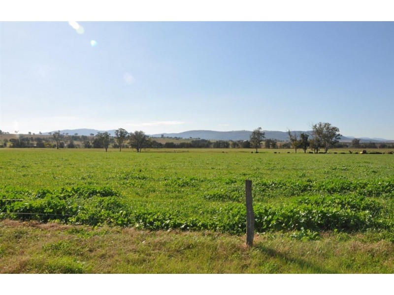 Lot 402 Nandowra Rd, “Applegum”, Scone NSW 2337
