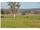 Lot 402 Nandowra Rd, “Applegum”, Scone NSW 2337