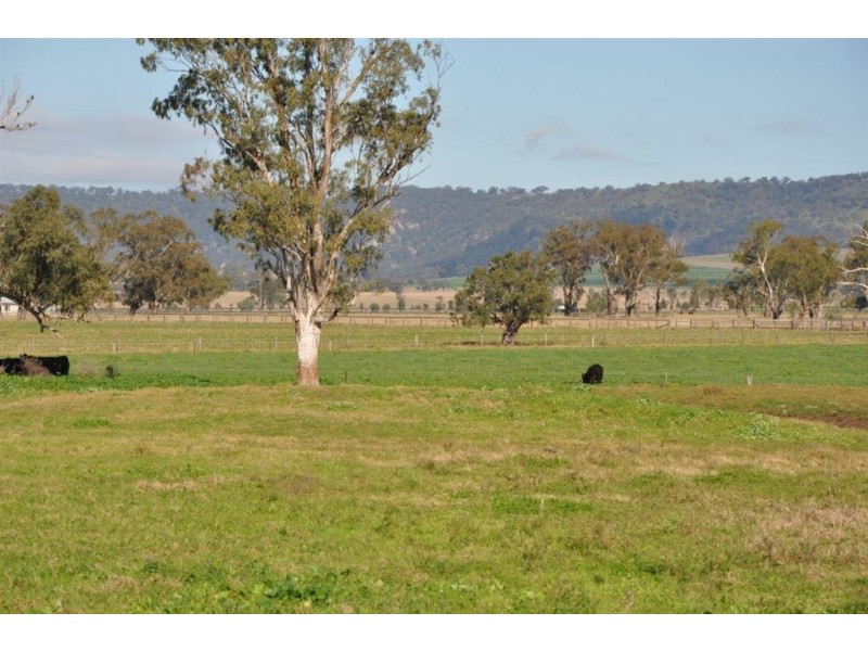 Lot 402 Nandowra Rd, “Applegum”, Scone NSW 2337