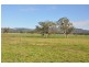 Lot 402 Nandowra Rd, “Applegum”, Scone NSW 2337