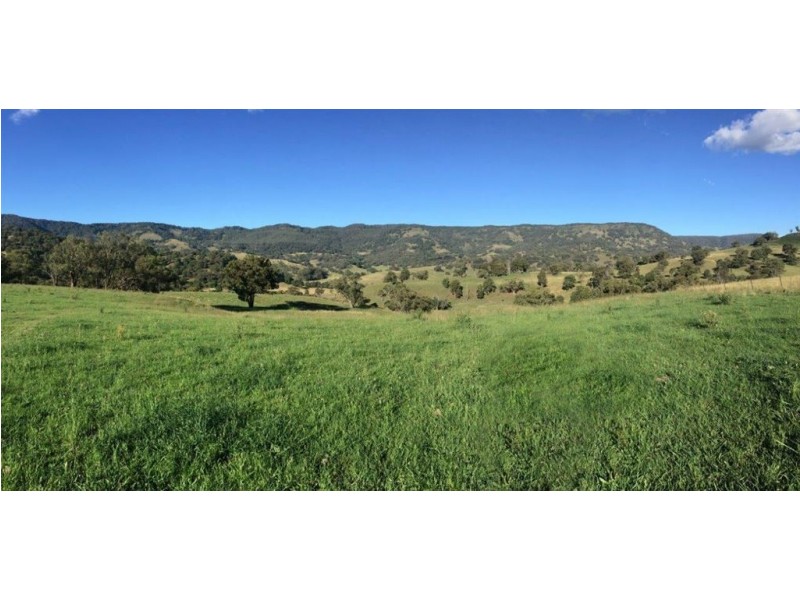 2260 Pages Creek Rd, “Harlyn”, Ellerston via, Scone NSW 2337