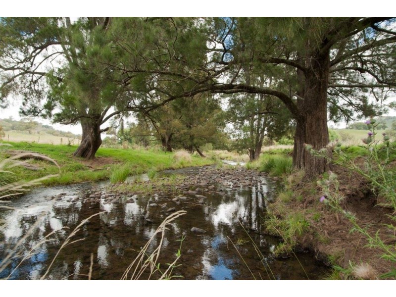 2260 Pages Creek Rd, “Harlyn”, Ellerston via, Scone NSW 2337