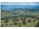 2260 Pages Creek Rd, “Harlyn”, Ellerston via, Scone NSW 2337