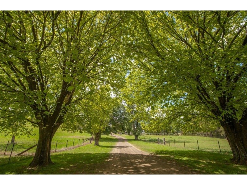 2260 Pages Creek Rd, “Harlyn”, Ellerston via, Scone NSW 2337