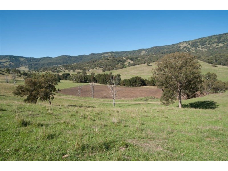 2260 Pages Creek Rd, “Harlyn”, Ellerston via, Scone NSW 2337