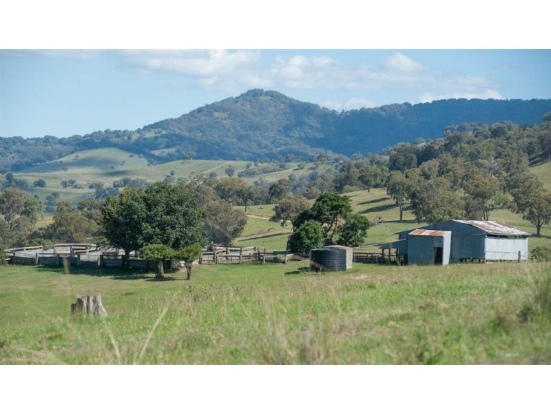 2260 Pages Creek Rd, “Harlyn”, Ellerston via, Scone NSW 2337