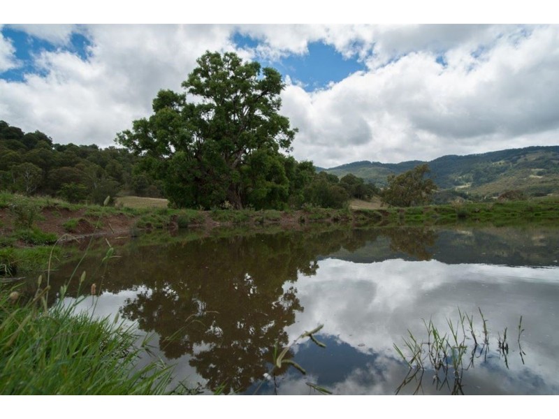 2260 Pages Creek Rd, “Harlyn”, Ellerston via, Scone NSW 2337