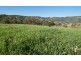 2260 Pages Creek Rd, “Harlyn”, Ellerston via, Scone NSW 2337