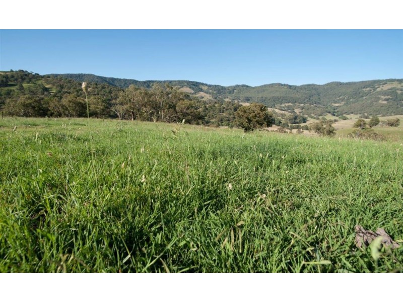 2260 Pages Creek Rd, “Harlyn”, Ellerston via, Scone NSW 2337