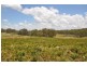 1951 Pages Creek Rd, “Limberlost”, Ellerston via, Scone NSW 2337