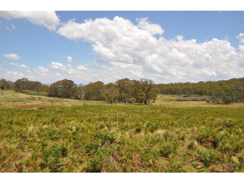 1951 Pages Creek Rd, “Limberlost”, Ellerston via, Scone NSW 2337