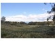 1951 Pages Creek Rd, “Limberlost”, Ellerston via, Scone NSW 2337