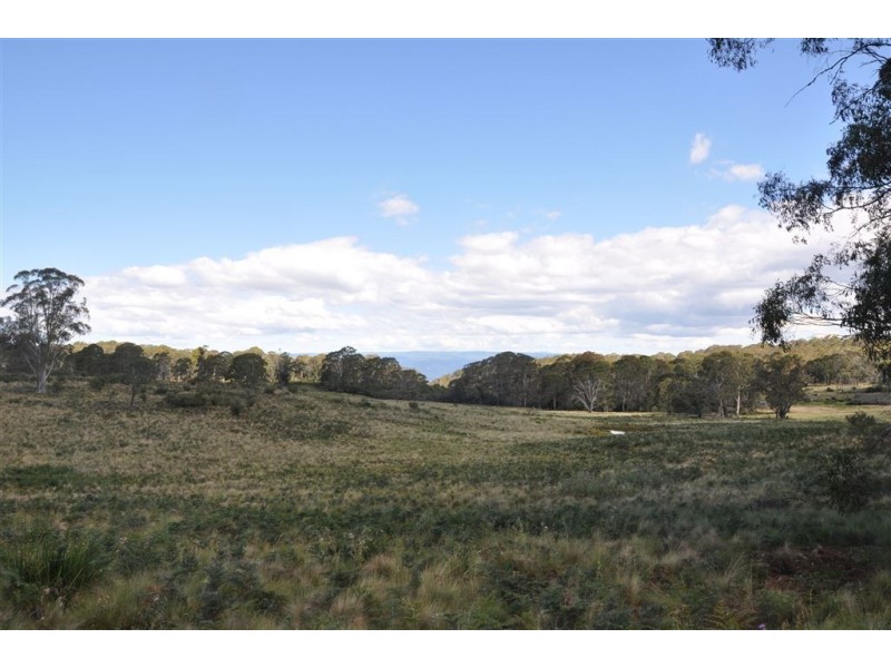 1951 Pages Creek Rd, “Limberlost”, Ellerston via, Scone NSW 2337