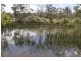 1951 Pages Creek Rd, “Limberlost”, Ellerston via, Scone NSW 2337