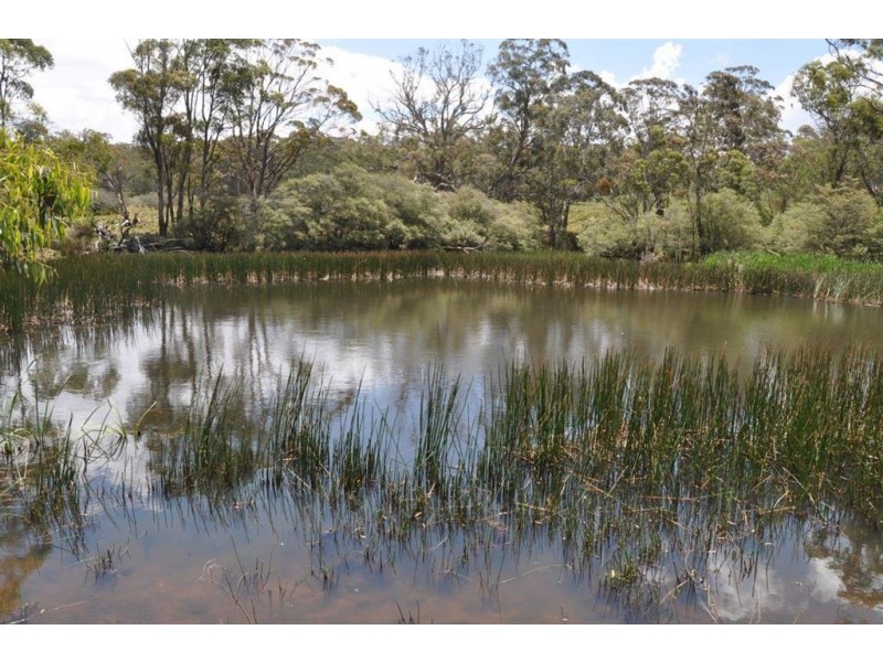 1951 Pages Creek Rd, “Limberlost”, Ellerston via, Scone NSW 2337