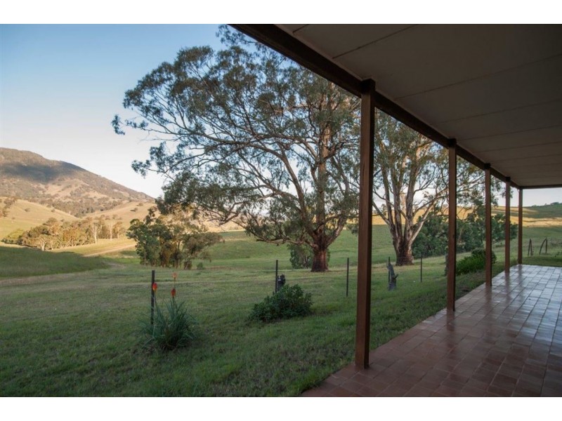 1951 Pages Creek Rd, “Limberlost”, Ellerston via, Scone NSW 2337