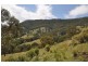 1951 Pages Creek Rd, “Limberlost”, Ellerston via, Scone NSW 2337