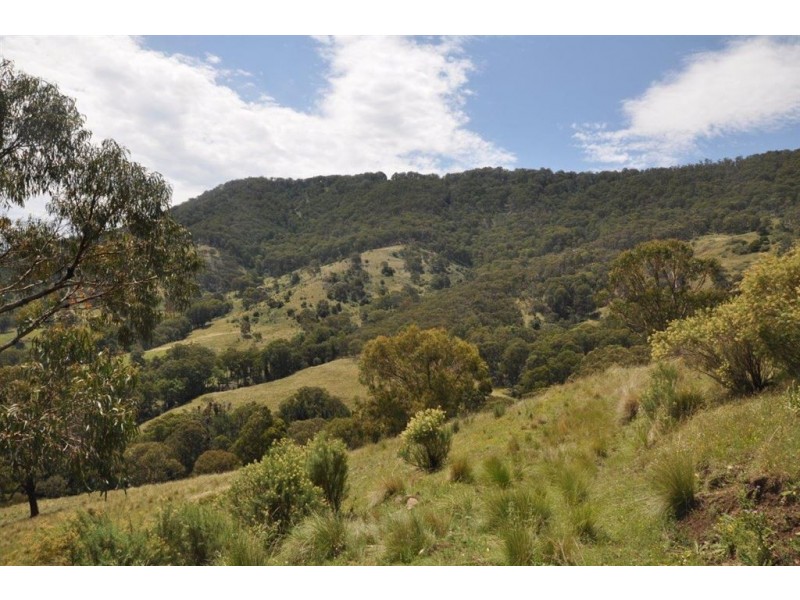 1951 Pages Creek Rd, “Limberlost”, Ellerston via, Scone NSW 2337