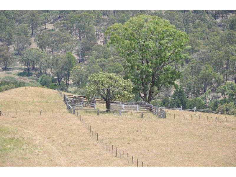 1951 Pages Creek Rd, “Limberlost”, Ellerston via, Scone NSW 2337