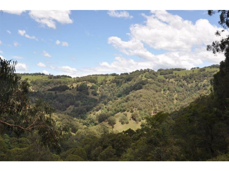 . “Wigglywoad”, Moonan Brook Rd via, Scone NSW 2337