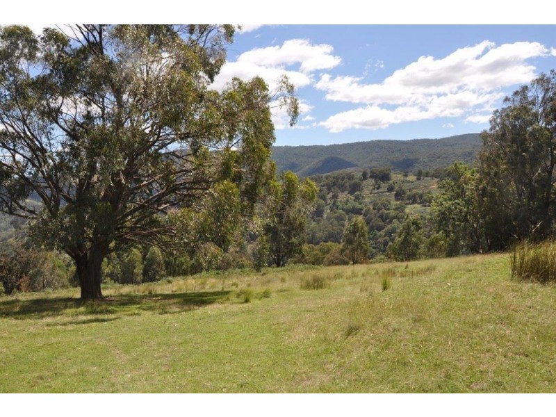 . “Wigglywoad”, Moonan Brook Rd via, Scone NSW 2337