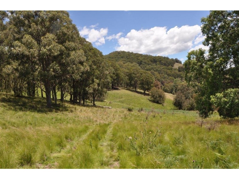 . “Wigglywoad”, Moonan Brook Rd via, Scone NSW 2337