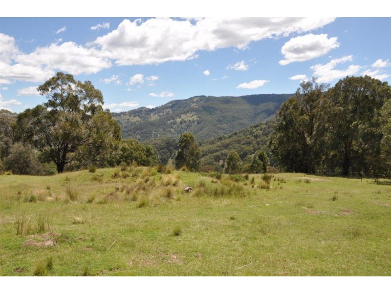 . “Wigglywoad”, Moonan Brook Rd via, Scone NSW 2337