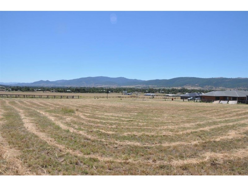 8 Ibis Place, Scone NSW 2337