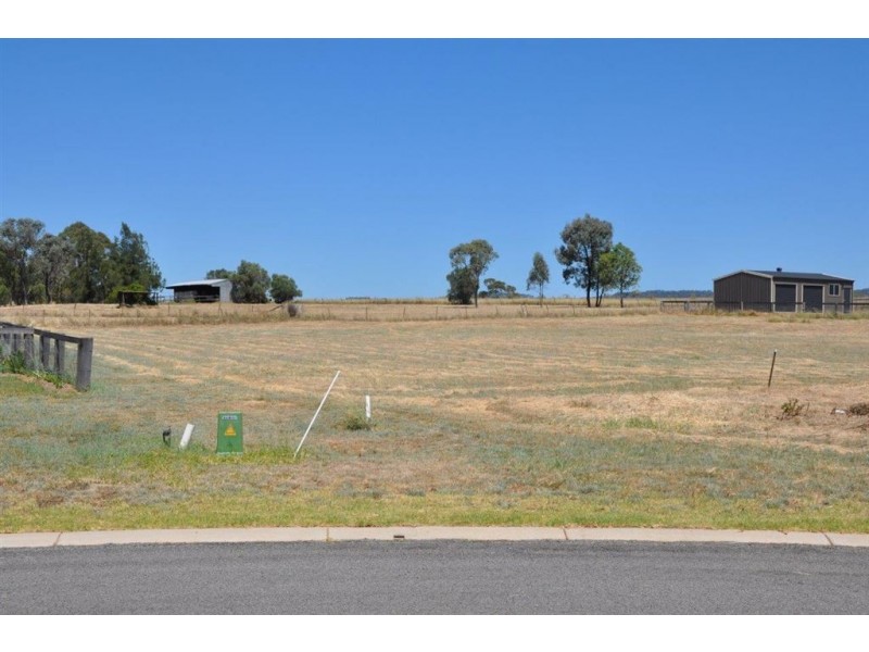 8 Ibis Place, Scone NSW 2337