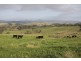 . Timor Creek Stud, Timor NSW 2338