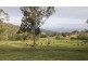 . Timor Creek Stud, Timor NSW 2338