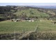 . Timor Creek Stud, Timor NSW 2338