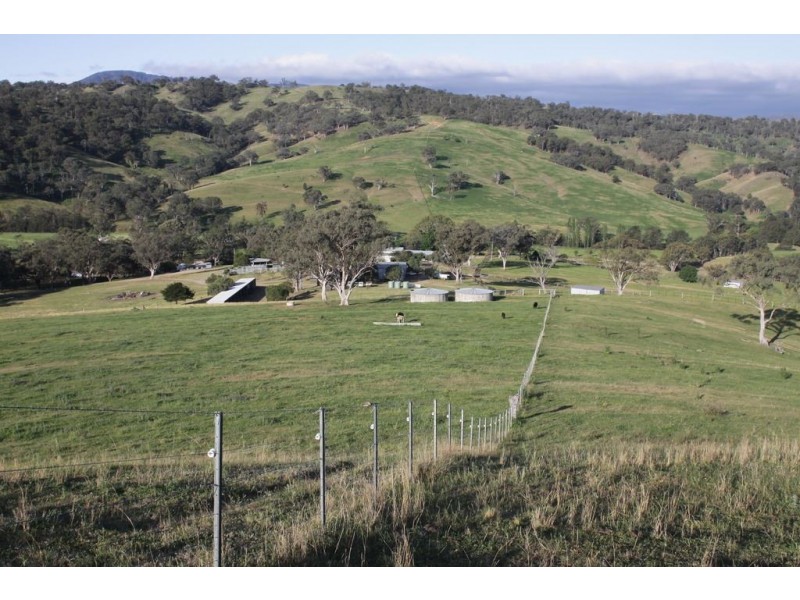 . Timor Creek Stud, Timor NSW 2338