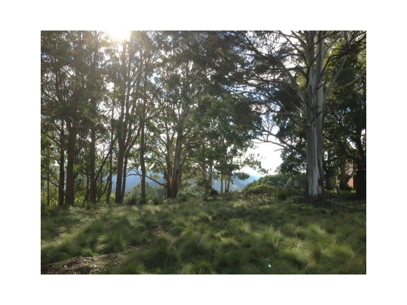 . “Morrisons Tops” Pages Creek Rd, Ellerston via, Scone NSW 2337