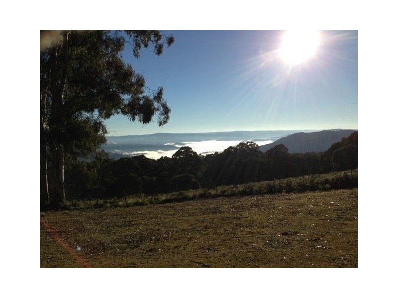 . “Morrisons Tops” Pages Creek Rd, Ellerston via, Scone NSW 2337