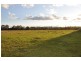 3162 New England Hwy, “Tantanoola”, Scone NSW 2337