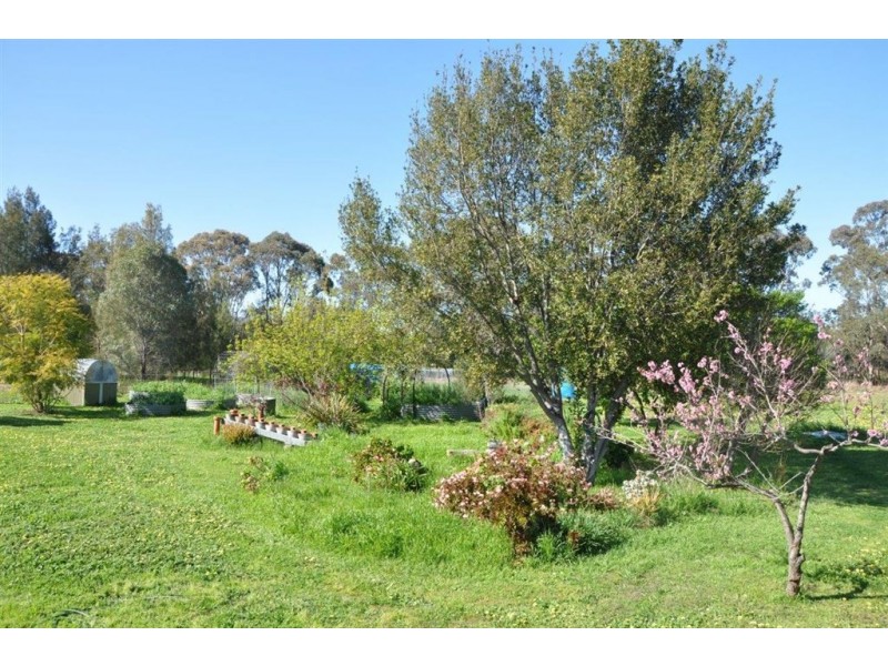 3162 New England Hwy, “Tantanoola”, Scone NSW 2337